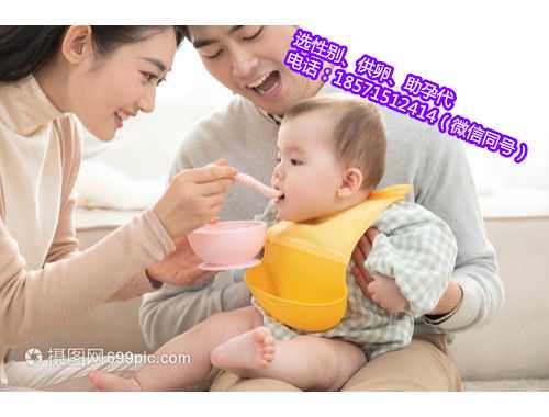 广州代怀助孕移