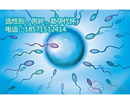 4bc广州代生费用高吗怎么样？4bc胚胎移植成功率