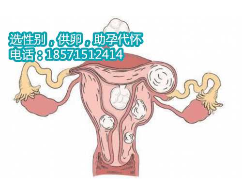 选择适合孕早期的凉茶配方，以确保广州借卵代怀的安全发育并满足孕妇的健康