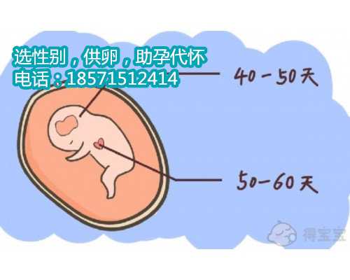 广州供卵咨询染色体检查多少钱？染色体异常在几周胎停？