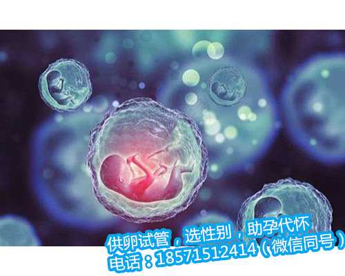 <b>试管囊胚分化成两个广州代生儿子微信的概率——一个胎儿两个胚胎的成功率是</b>