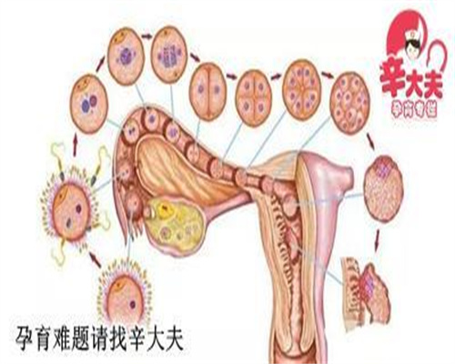 广州孕宝代孕机