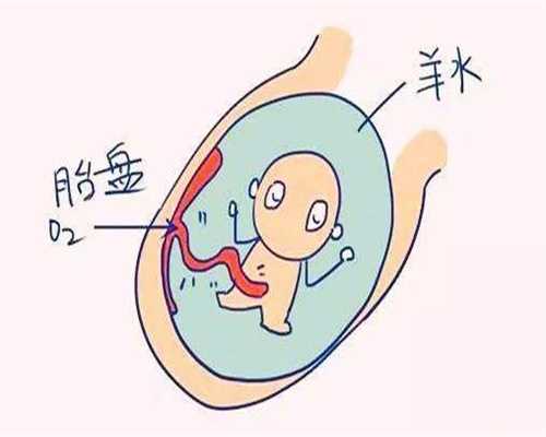 广州聚缘代孕网
