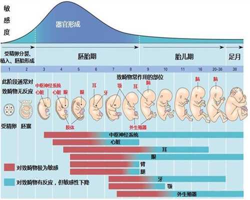 广州助孕冯医生代怀孕公司-孕妇能不能吃红豆粥