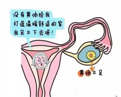广州试管最好三甲医院：不知道自己怀孕了喝酒