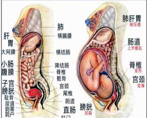 广州代孕成功率_儿童补锌钙铁食疗菜有哪些