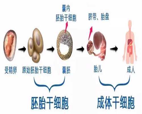 广州代孕咨询_孕妇如何安全防晒 孕妇如何做好防