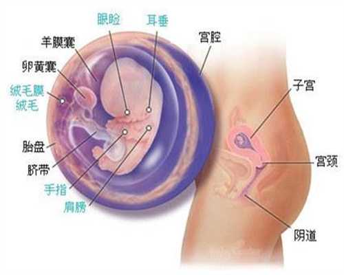 广州代孕免费咨询_怀孕三个月血糖高怎么办