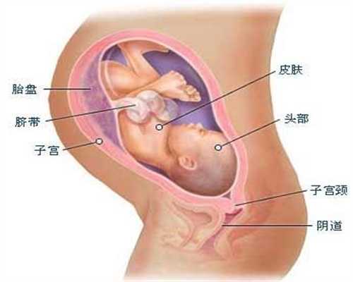 广州代孕免费咨询_怀孕三个月血糖高怎么办