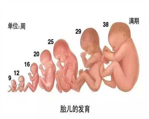 广州代孕机构