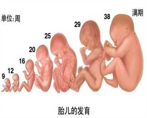广州代孕免费咨询_吃什么能让子宫内膜厚呢