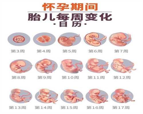 广州代孕一键咨询_输卵管检查对身体有创伤吗