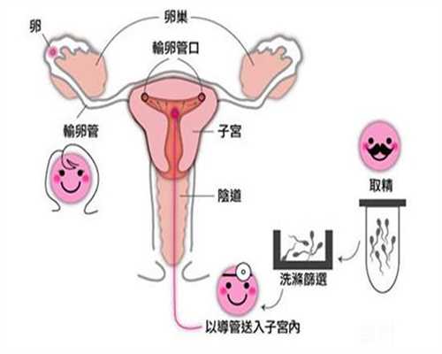广州包成功代怀孕网_宝宝成长期 少不了九健脑食品