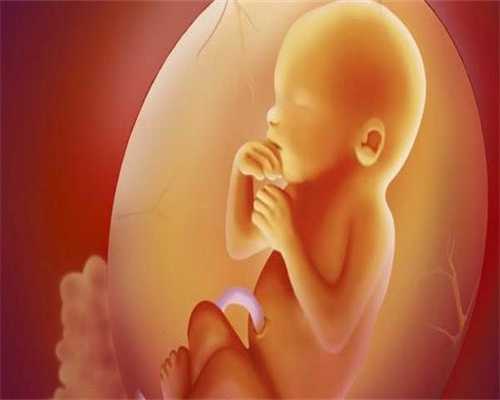 广州代孕孩子服务_孕检b超单怎么看到胎儿