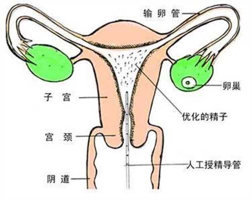 广州代孕网代生孩子_预产期快到了 你知道产前有哪些征兆吗