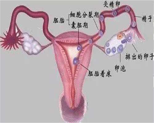 广州代孕最新技术_验孕棒怎么看 一深一浅什么意思