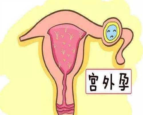 广州代孕网联系