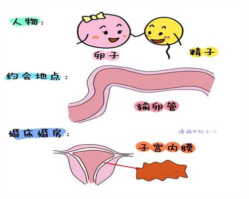 广州代孕产子价格费用介绍_孕期尿频对胎儿的影响