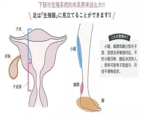 北京代孕方法
