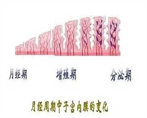 广州代孕热线`广州代孕网怎么找`广州职业代孕一般多少钱