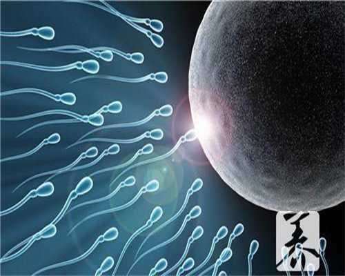 广州代孕费用_广州代孕公司网站_广州在哪找代孕志愿者