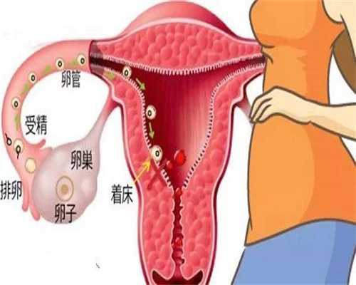 广州代孕报价，广州二胎代孕，气血不足是怎么导致的