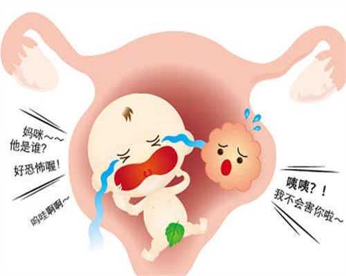 广州代孕价格,广州代孕市场价,广州网上找人代孕能信吗