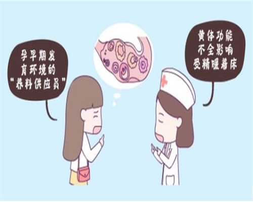 广州代孕价格_广州代孕孩子像谁_广州为什么有代孕公司