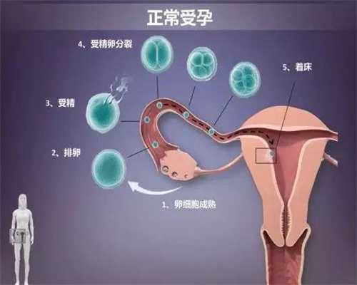 广州代孕-广州哪里要代孕-广州代孕引发夺子官司