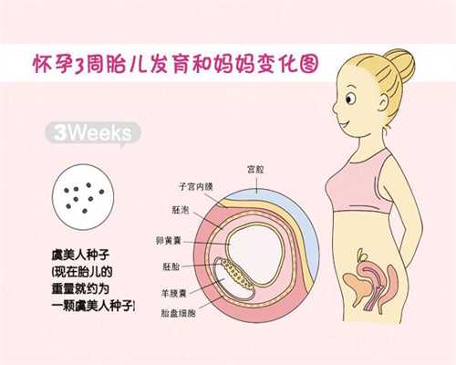<b>广州南方代孕-代孕机构供卵靠谱吗_什么是“双冻”美国试管婴儿？</b>