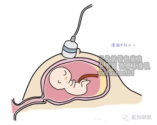 年龄48岁想供卵生小孩_高龄做试管前如何调养增强卵巢功能