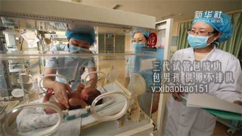 广州代生娃，强技术优服务护航孕、产、育生命线