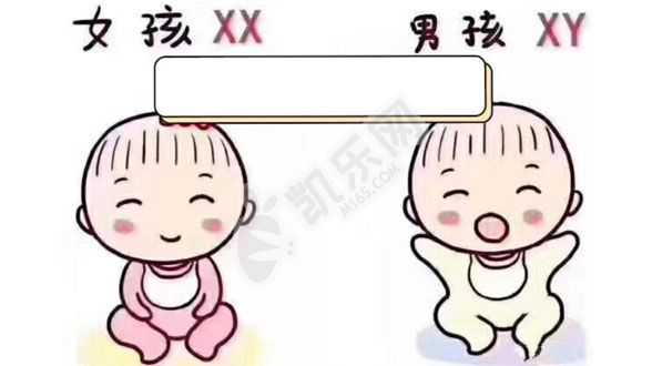 广州借卵试管代生孩子，女人一直生不出男孩的原因有哪些？