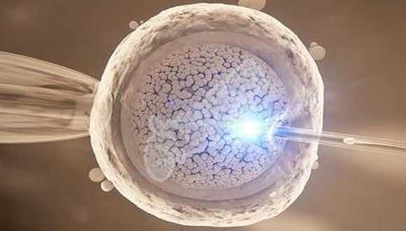 生殖中心可以供卵试管_备孕经验分享：正当我失望之际，一道浅浅的红线映入