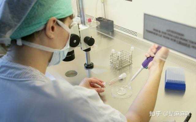 试管促排期间饮食与起居建议清单，照着做更有帮助