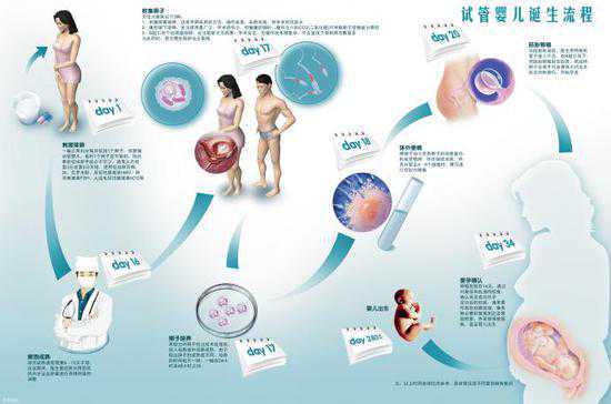 供卵试管费用全拆解：18万到50万花在哪？