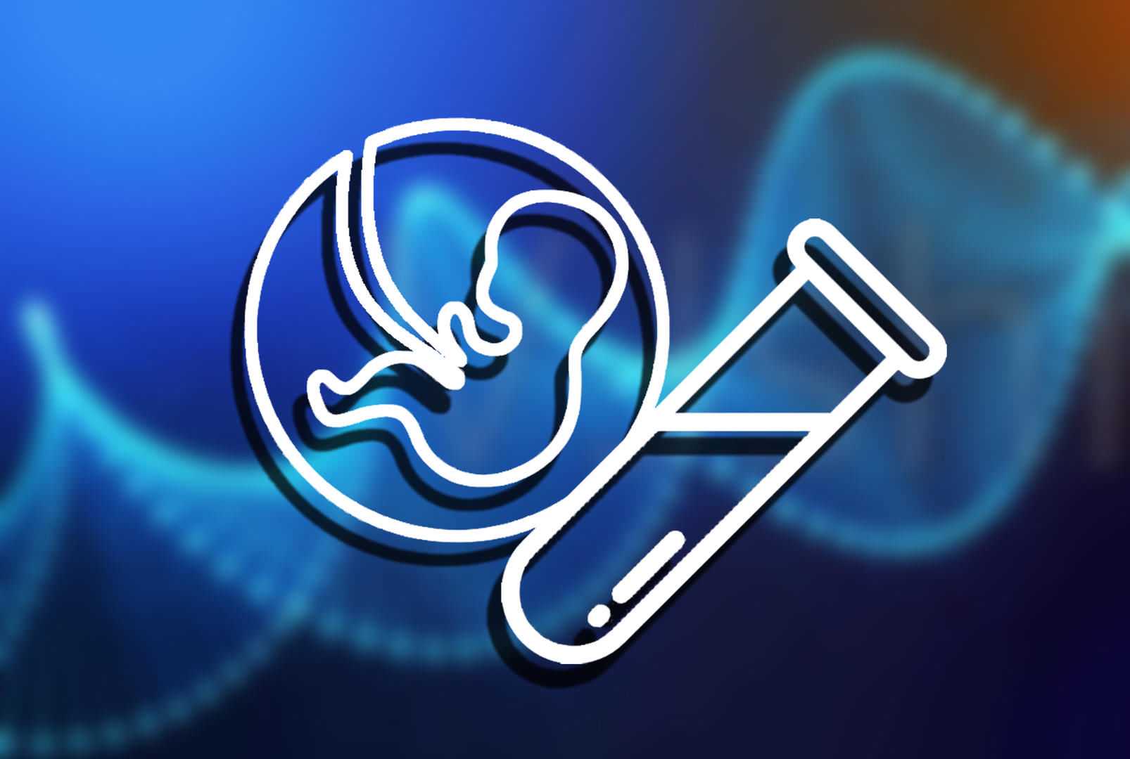 深圳失独家庭供卵助孕政策解读及费用援助方案