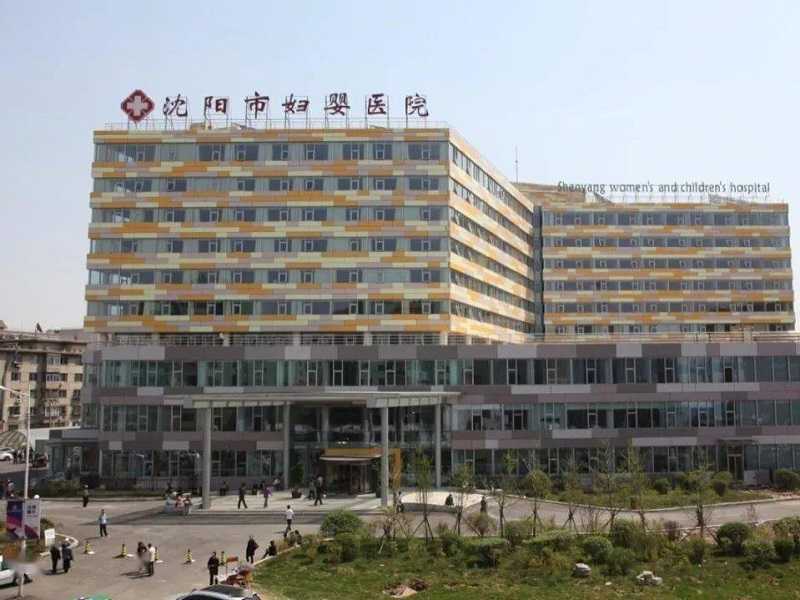 深圳高龄女性做试管婴儿成功率有多高？最新数据解读